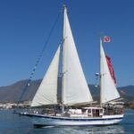 Dolphin Watching Adventure in Estepona Bay - Who Should Book This Tour?