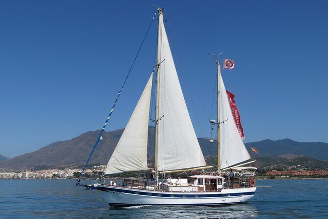 Dolphin Watching Adventure in Estepona Bay - Who Should Book This Tour?
