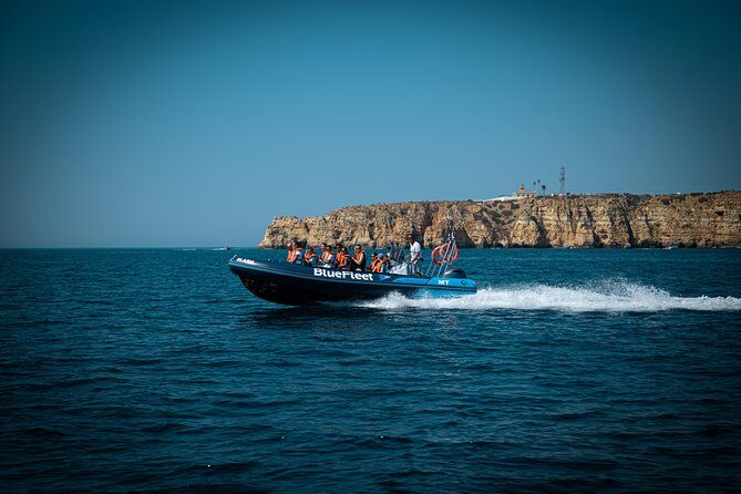 Dolphin Watching from Lagos with Marine Biologists - The Boat: Speed, Comfort, and Safety