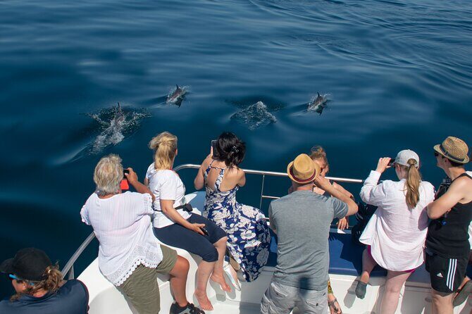 Dolphin Watching Half-Day Cruise from Lagos - The Sum Up