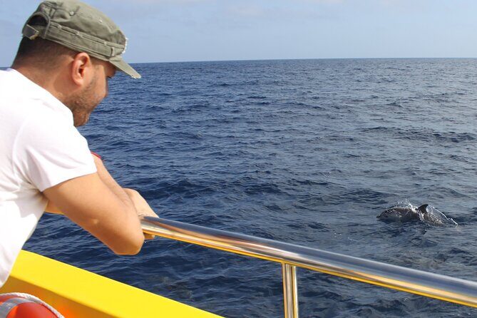 Dolphin Watching Mini Cruise and Snorkeling from Lanzarote - Who Should Consider This Tour?