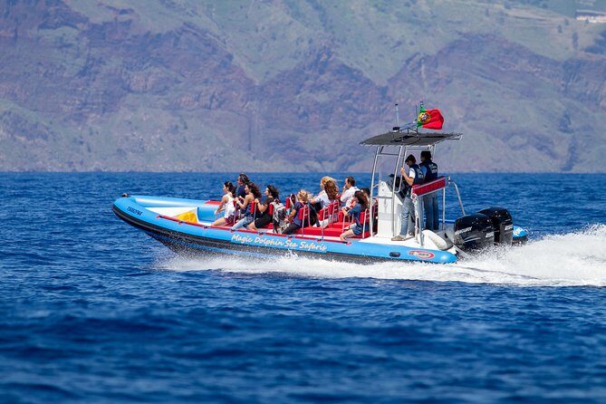 Dolphin - Whale - Turtle - Bird Watching - FAQs