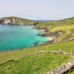 Dolphin & Whale Watching (4hrs) + Blasket Island Landing (3hrs) - Final Thoughts