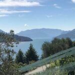 Domaso: Wine Tasting at the Winery on Como Lake - Value for Money & Practical Tips