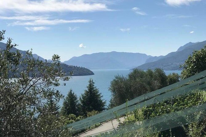 Domaso: Wine Tasting at the Winery on Como Lake - Value for Money & Practical Tips