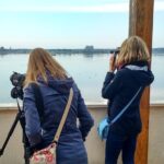 Donana National Park and El Rocío: Guided Tour from Seville - What Makes This Tour Stand Out?