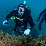 Double dive in the Algarve. Don't stop on the beach! - What to Expect: A Closer Look at the Itinerary