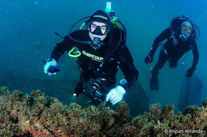 Double dive in the Algarve. Don't stop on the beach! - What to Expect: A Closer Look at the Itinerary