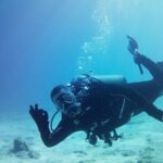 Double Shore Dive (certified divers) - What to Expect from the Double Shore Dive Experience