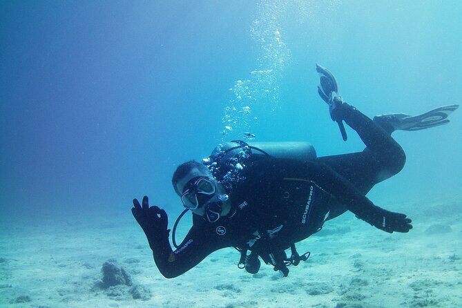 Double Shore Dive (certified divers) - What to Expect from the Double Shore Dive Experience