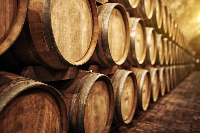 Douro Private Tour  Customizable Experience - Transportation and Comfort
