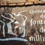 Douro Valley amazing wine Tours - Practical Considerations