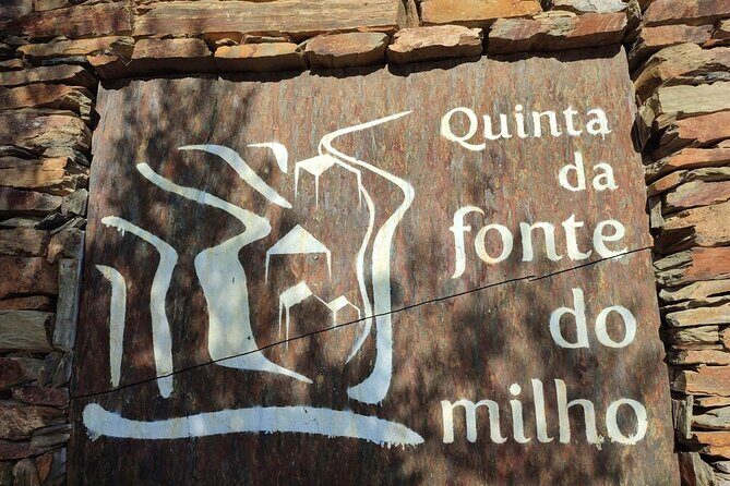 Douro Valley amazing wine Tours - Practical Considerations