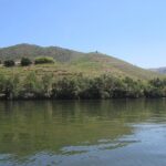 Douro Valley Tour: 2 Vineyard Visits, River Cruise, Winery Lunch - Possible Considerations