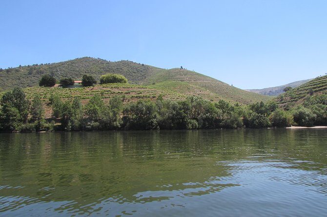 Douro Valley Tour: 2 Vineyard Visits, River Cruise, Winery Lunch - Possible Considerations
