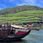 Douro Valley Tour - 3 Wine tastings, Lunch & river Cruise - The Overall Experience: How It Comes Together