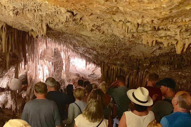 Drach Caves with Port Cristo and Pearl Shop Mallorca Full Day Tour - Who Will Love This Tour?