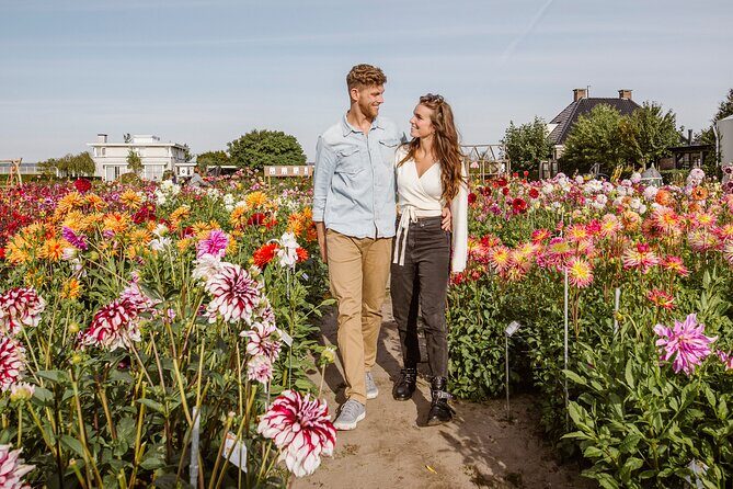 Drive it yourself electric Dune & Summer Flower GPS audio tour - Exploring the Itinerary in Detail
