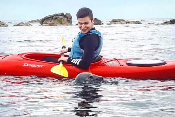 Dublin Bay Seal Kayaking Safari at Dalkey - Practical Tips for Staying Comfortable