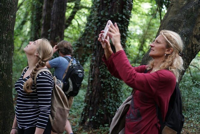 Dublin Coastal Hike with Howth Adventures - An In-Depth Look at the Dublin Coastal Hike Experience