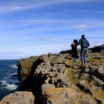 Dublin to Cliffs of Moher, Burren, Wild Atlantic Way, Galway Tour - Who Will Love This Tour?