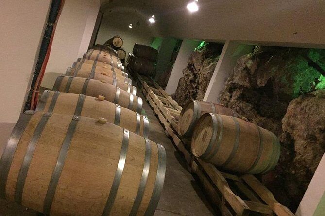Dubrovnik Bosnia-Herzegovina Half-Day Wine Tour with Tastings - Practical Details & Tips