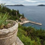 Dubrovnik: Game of Thrones Full-Day Private Tour - Who Will Love This Tour?
