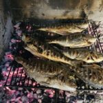 Dubrovnik to Split PRIVATE transfer with GOURMET LUNCH in price - The Sum Up
