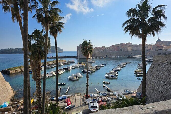 Dubrovnik Walking Tour with a FREE Polaroid Photo - Who Will Love This Tour
