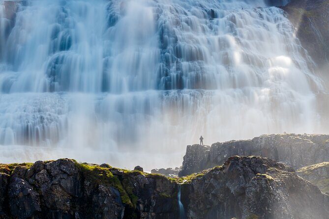Dynjandi Waterfall & Iceland Farm Visit Tour - Authentic Insights from Reviewers