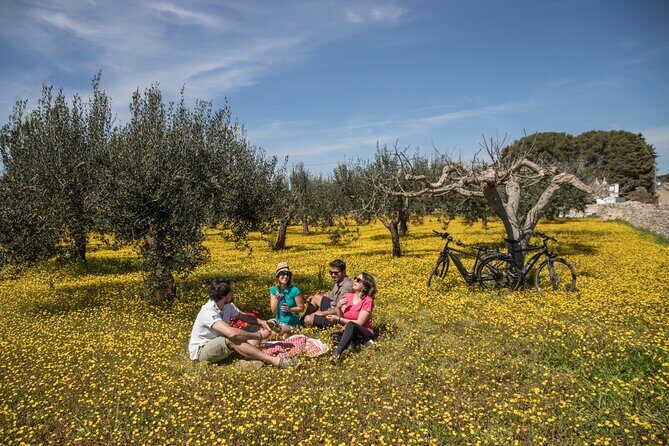 E-bike ring tour between Locorotondo and Martina Franca - FAQs