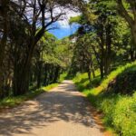 E-Bike Self-Guided Sintra - Cascais (Private Tour from Lisbon) - The Experience: What Works Well and What’s Not
