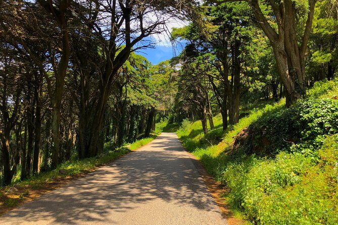 E-Bike Self-Guided Sintra - Cascais (Private Tour from Lisbon) - The Experience: What Works Well and What’s Not