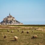 E-Bike Tour to Mont Saint Michel // Private guided tour - Authentic Experiences and What Travelers Say