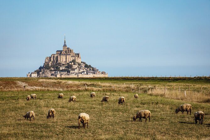 E-Bike Tour to Mont Saint Michel // Private guided tour - Authentic Experiences and What Travelers Say