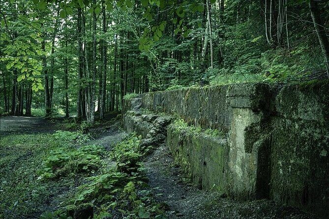 Eagle's Nest Berchtesgaden Private Full Day WWII Historical Tour - Transportation, Timing, and Group Experience