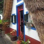 EAST: Pico do Arieiro & Laurissilva Forest - Full Day tour - Who Will Love This Tour?