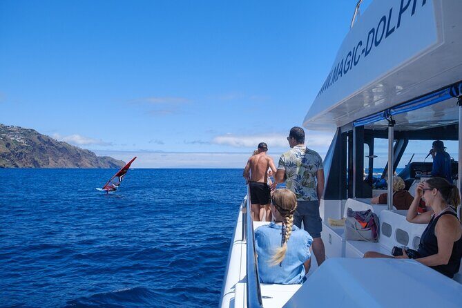 Eco-Friendly Catamaran Dolphin and Whale Watching - An In-Depth Look at the Experience