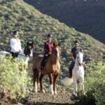 El Salobre: Horse Riding Adventure with Transfer Options - What to Expect During the Ride