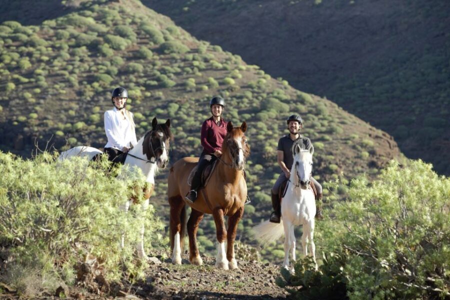 El Salobre: Horse Riding Adventure with Transfer Options - What to Expect During the Ride