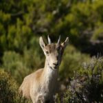 El Saltillo Gorge and White Village Hiking Tour from Malaga - The Value of This Tour