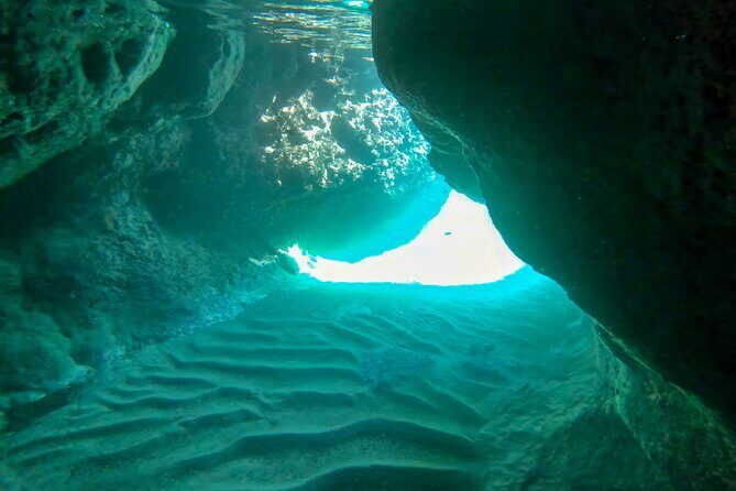 Elaphiti Island private boat tour - The Experience: What Sets It Apart?