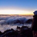 Set out on a Luxurious Private Journey: Unveiling the Madeira Best - Why This Tour Stands Out