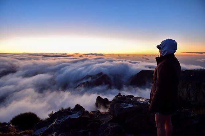 Set out on a Luxurious Private Journey: Unveiling the Madeira Best - Why This Tour Stands Out