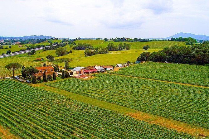 Enjoy a meal with wine tasting in the vineyard of Podere Casanova - Final Thoughts