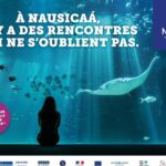 Entrance Ticket Nausicaa, the biggest aquarium in Europe - Final Thoughts