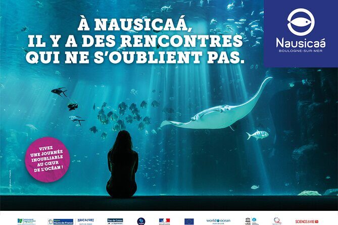Entrance Ticket Nausicaa, the biggest aquarium in Europe - Final Thoughts