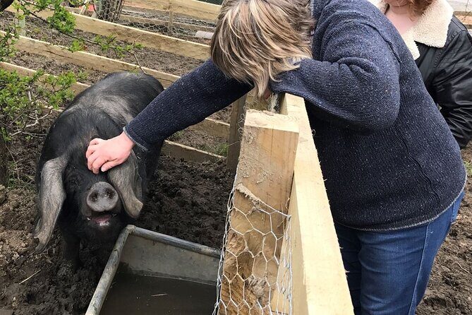 Errichel Farm Tour - The Itinerary in Detail