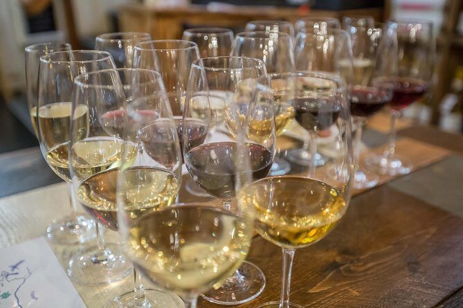 Essentials of Hungarian Wine Tasting (with Cheese and Charcuterie) in Budapest - Who Will Love This Tour?