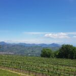 Etna Classic & Winery (day trip) - Why This Tour Is a Great Choice